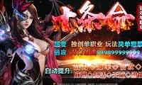 私服传奇登录器打不开,私服登录器无法打开